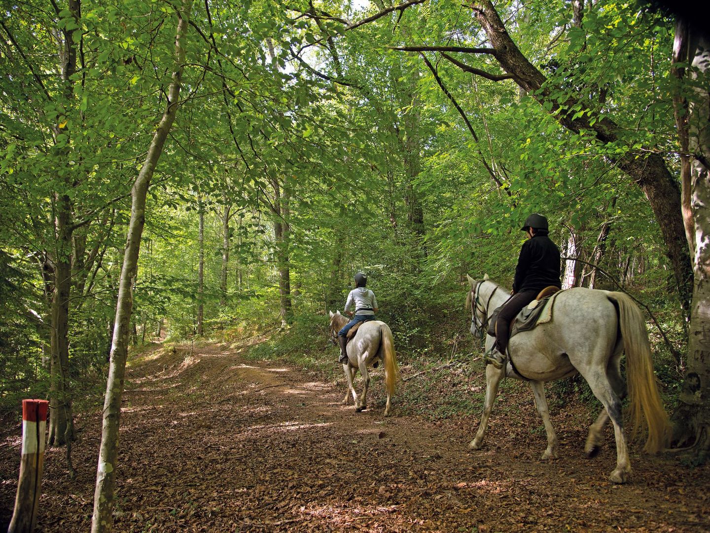 Lembeye la vallée du Vic-Bilh à cheval Lembeye Nouvelle-Aquitaine