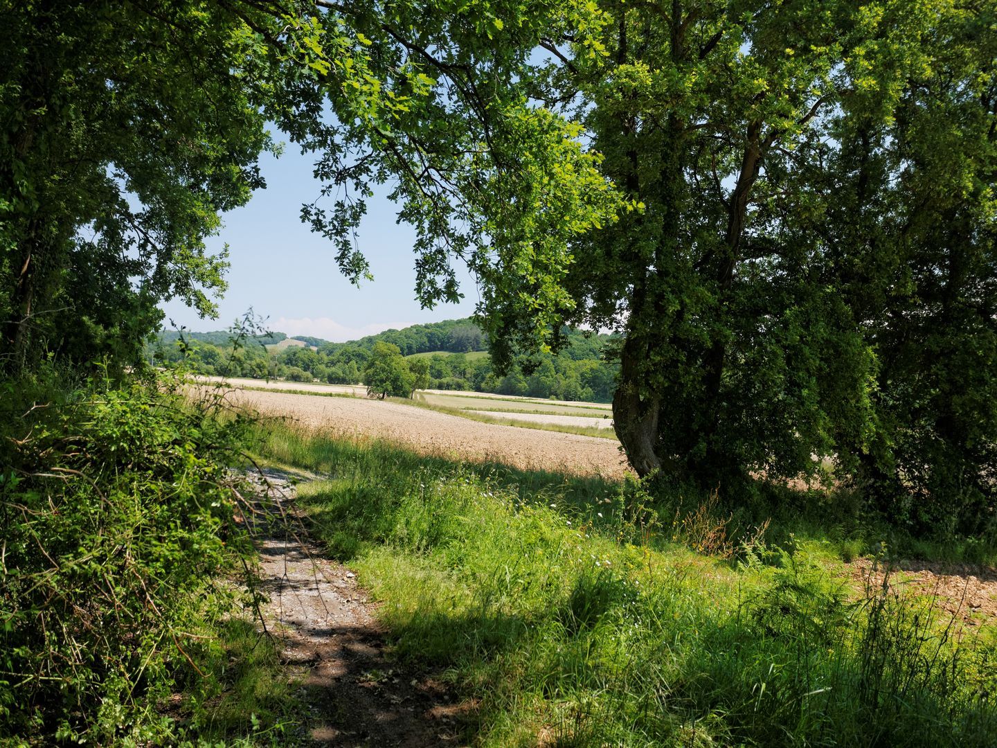 Montardon les Marlères Montardon Nouvelle-Aquitaine