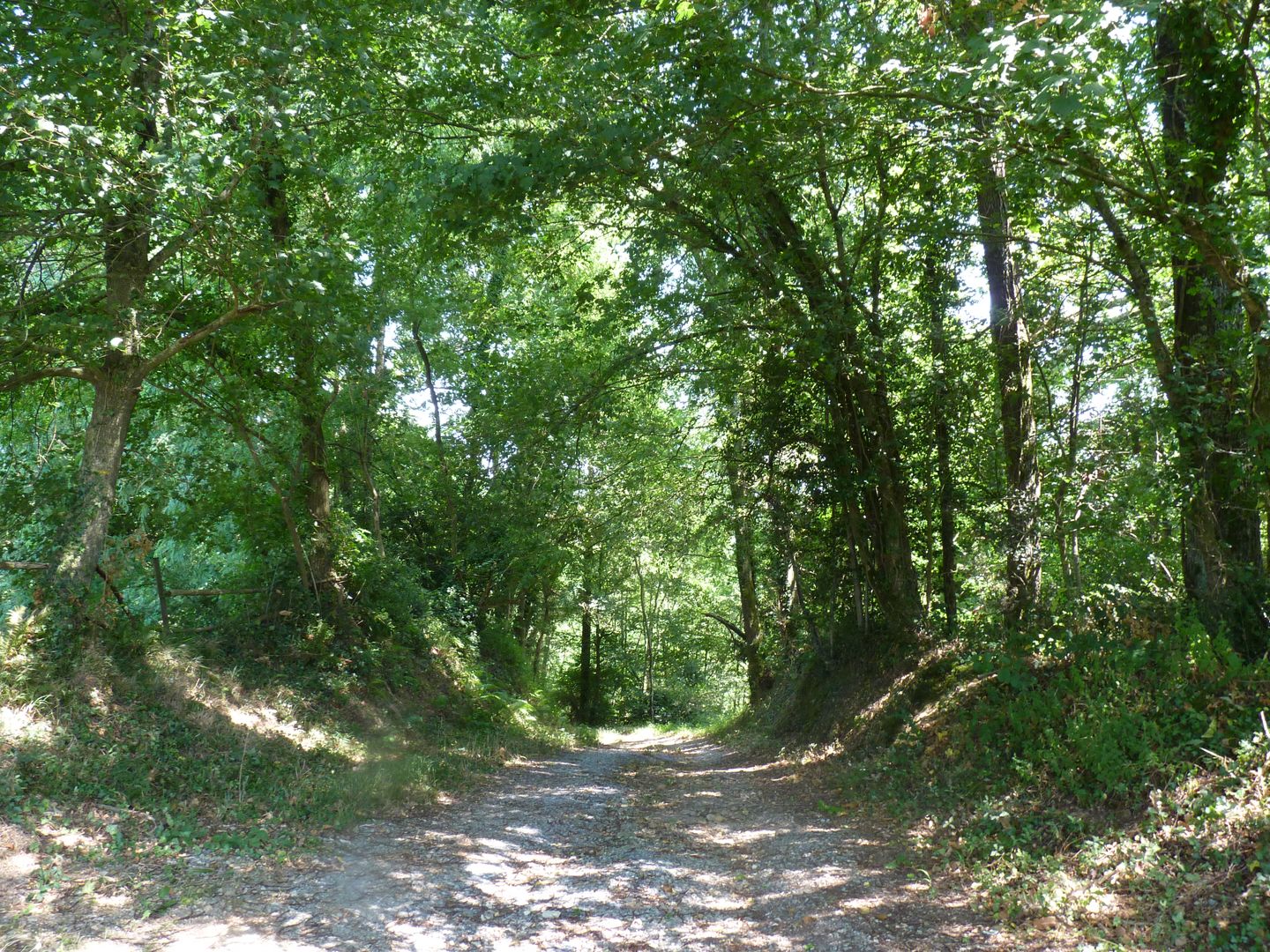 Astis les Barthouils Astis Nouvelle-Aquitaine