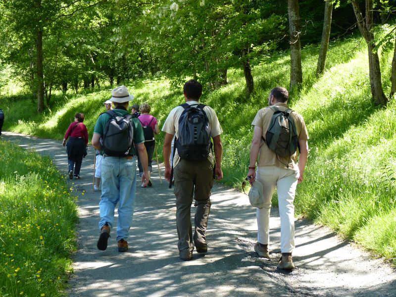 Lème du Luy au Lous Lème Nouvelle-Aquitaine
