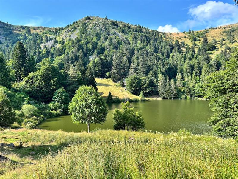 Circuit rando le tour des 4 lacs Orbey Grand Est