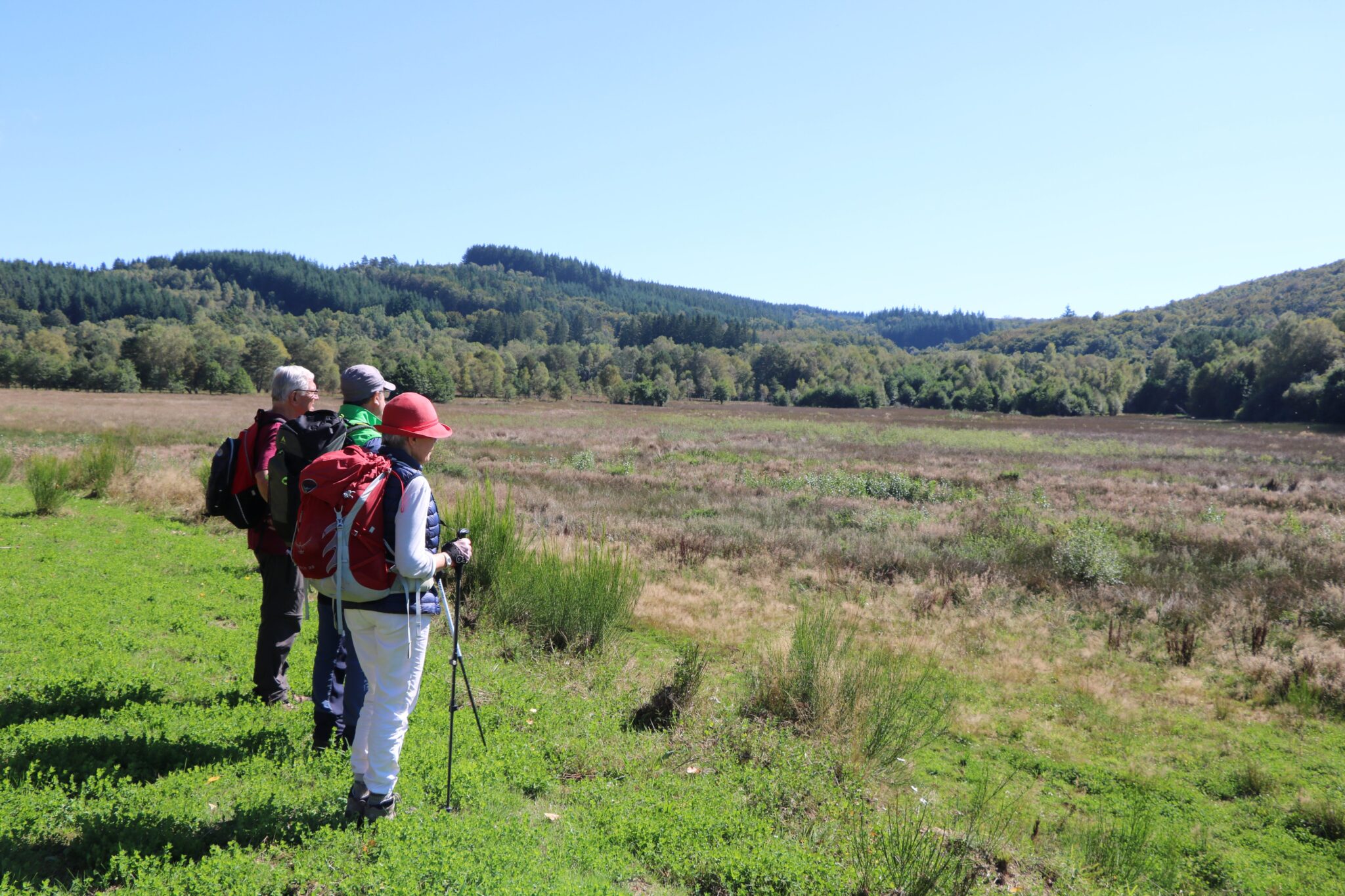 Circuit d’interprétation de la tourbière de Rebière Nègre 4 km Peyrelevade Nouvelle-Aquitaine