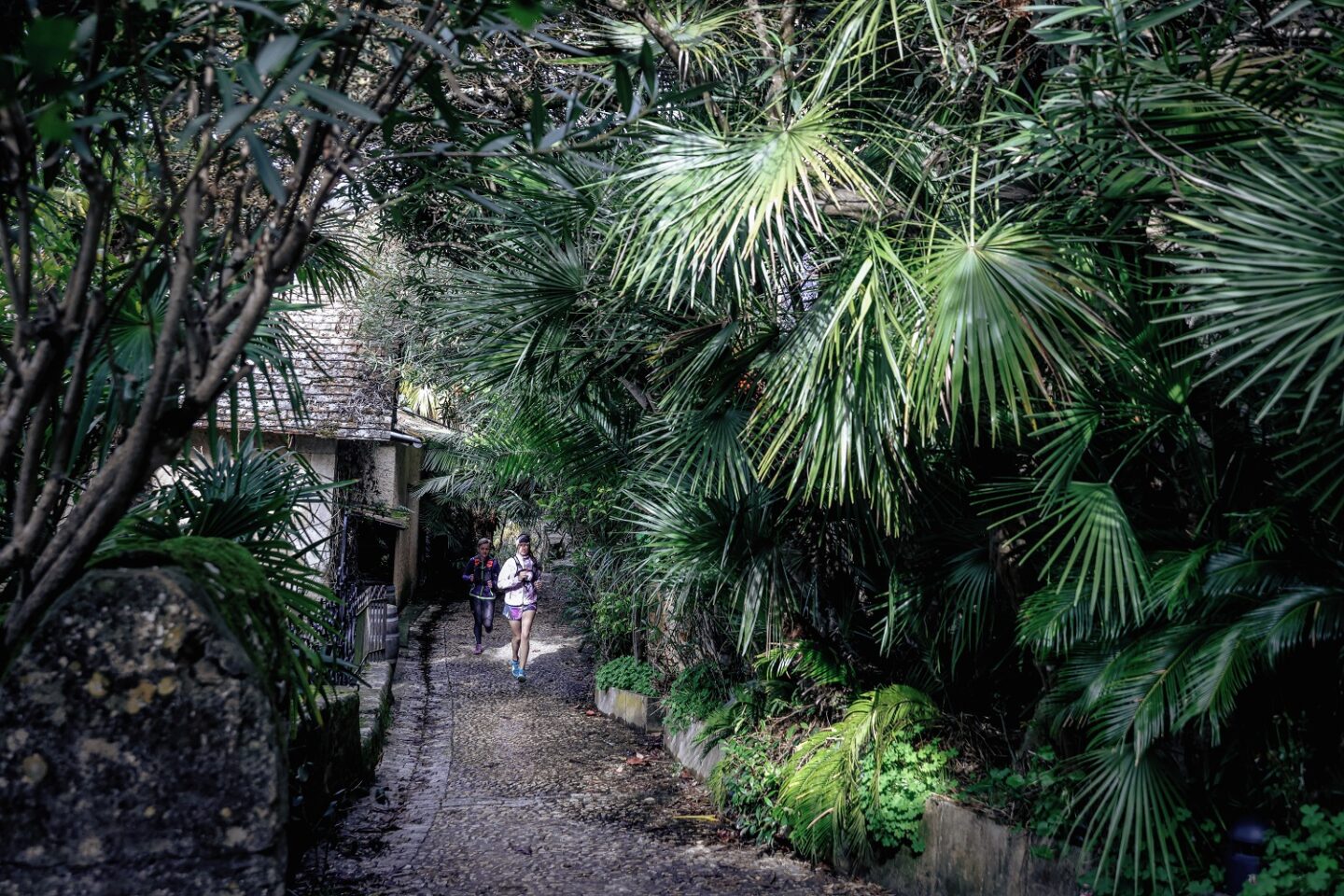 Trail de la Vallée La Roque-Gageac Nouvelle-Aquitaine Trail de la Vallée La Roque-Gageac Nouvelle-Aquitaine