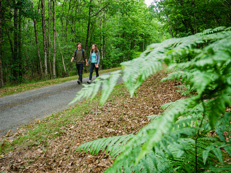 Qu'on aille y voir Continvoir Centre-Val de Loire