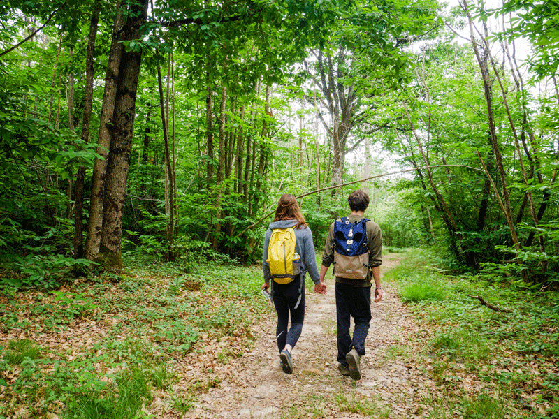 La Gâtine Tourangelle Brèches Centre-Val de Loire
