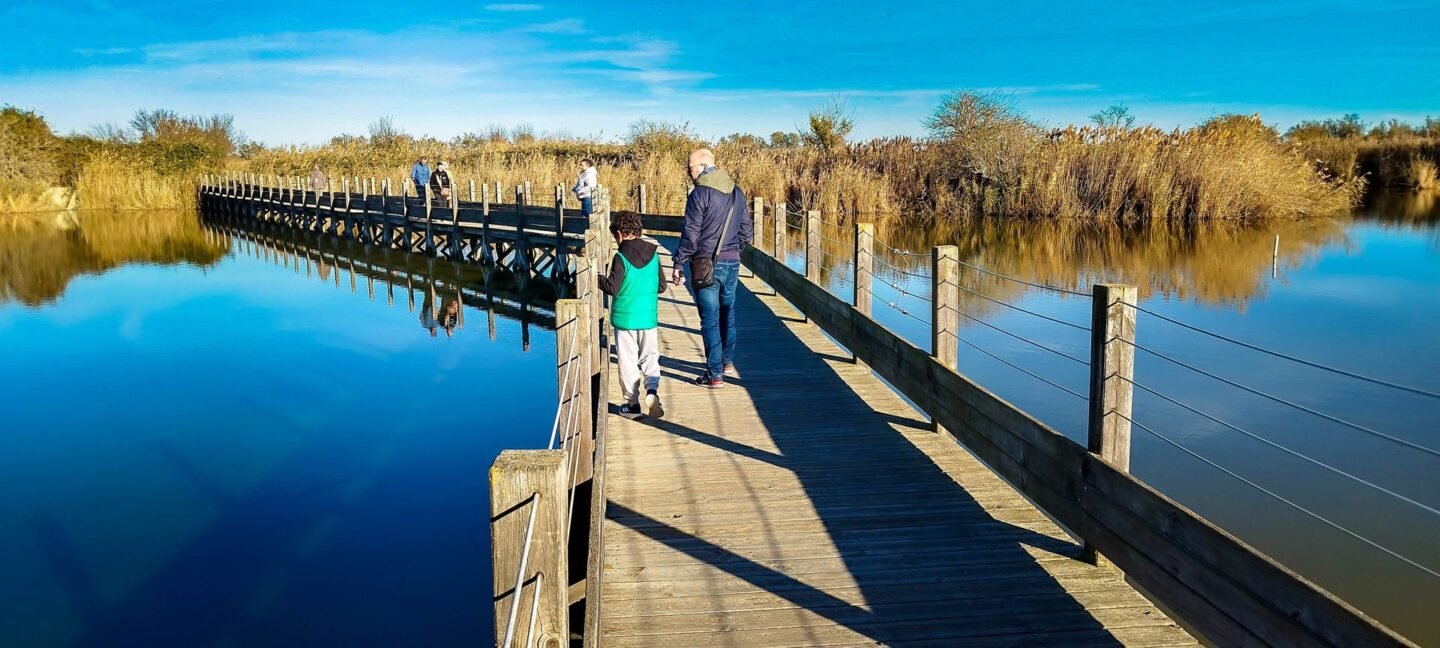 RANDONNEE SENTIER DES TAMARIS SITE NATUREL PROTÉGÉ DU MÉJEAN Lattes Occitanie