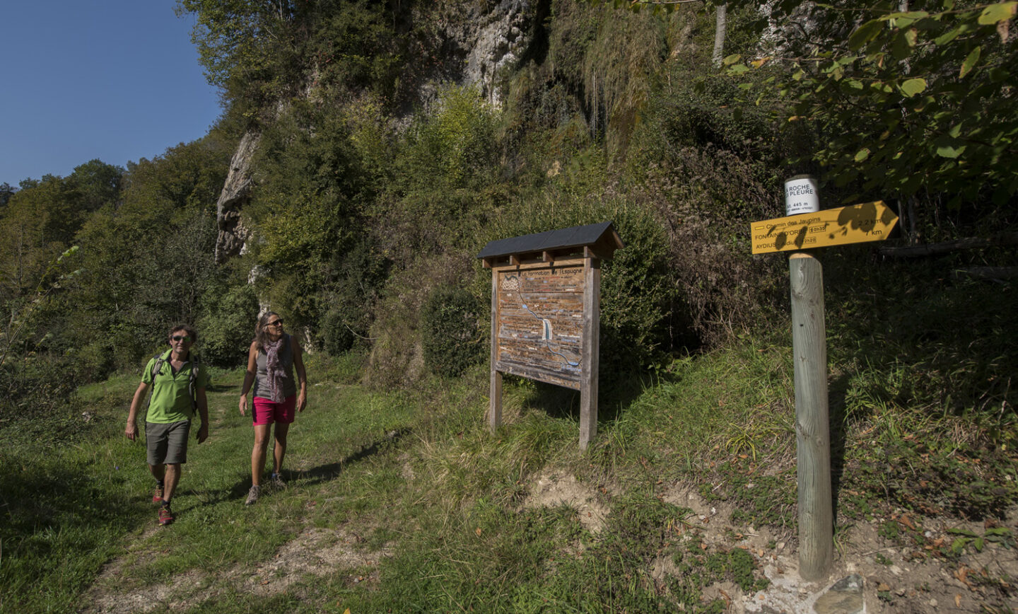 N°9 Aspe Roche qui pleure Bedous Nouvelle-Aquitaine