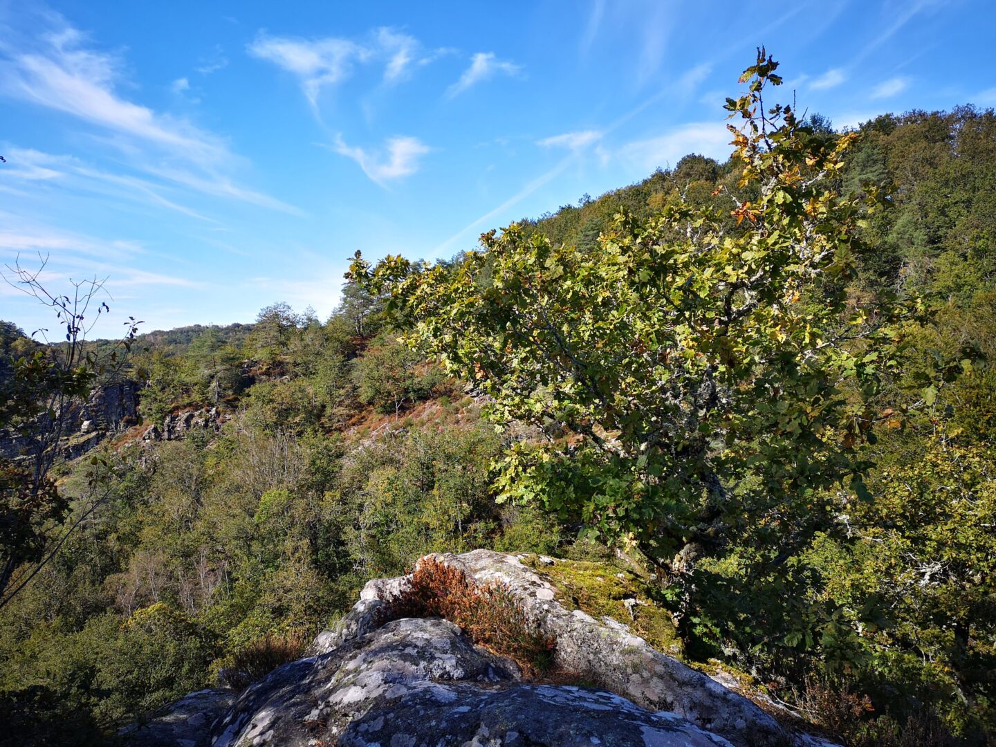 Lou Roual De Las Fadas Treignac Nouvelle-Aquitaine