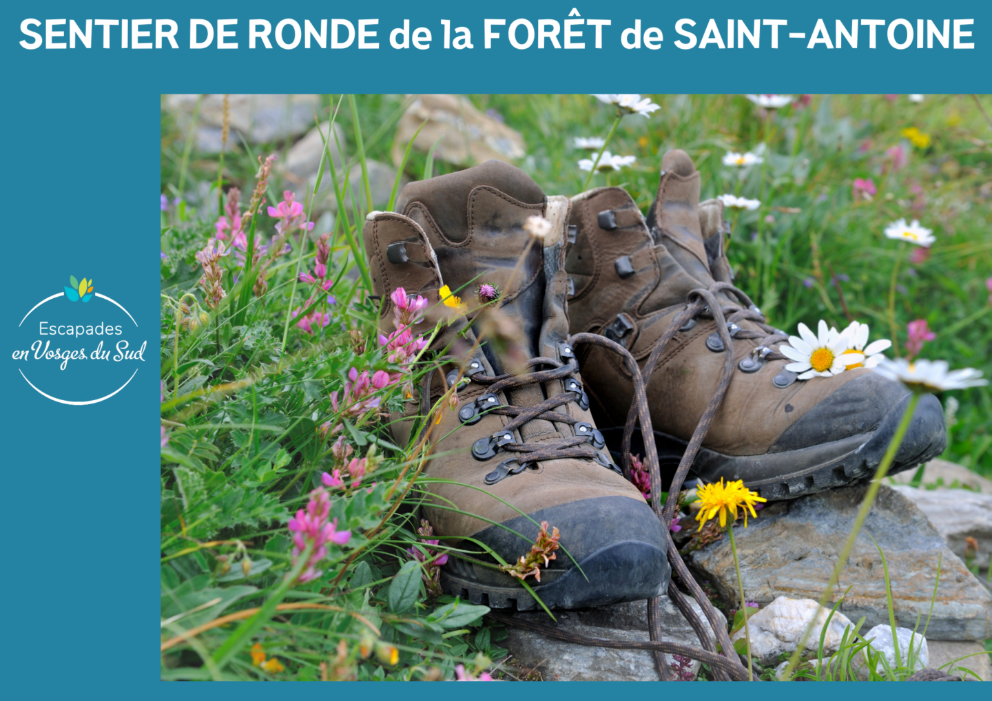 RANDONNÉE LA RONDE DE LA FORET DOMANIALE DE Plancher-les-Mines Bourgogne-Franche-Comté