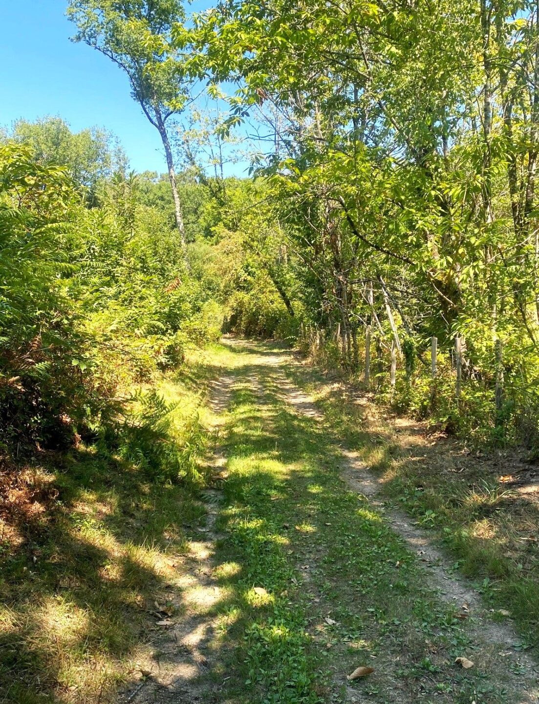 Boucle de Malibas Saint-Estèphe Nouvelle-Aquitaine