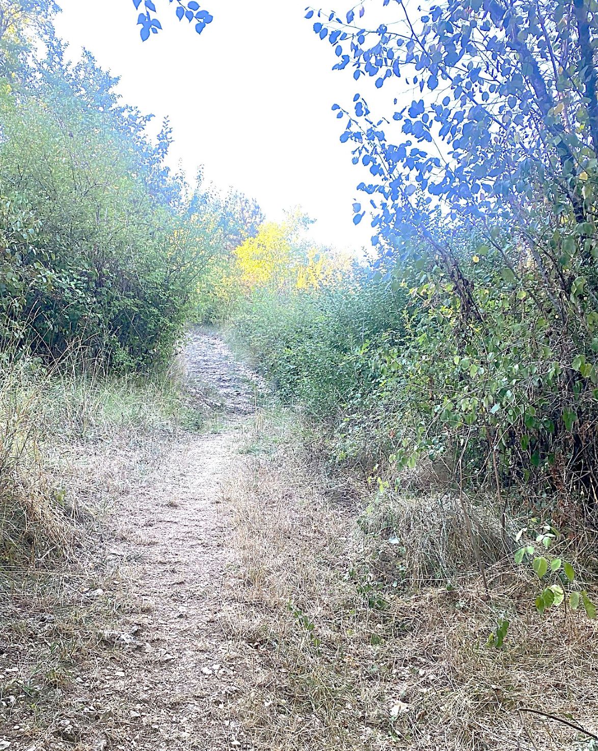 Boucle des Cimes Saint-Martial-de-Valette Nouvelle-Aquitaine