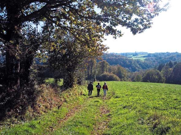 Sentier Boucle du Parleur Saint-Martin-Terressus Nouvelle-Aquitaine