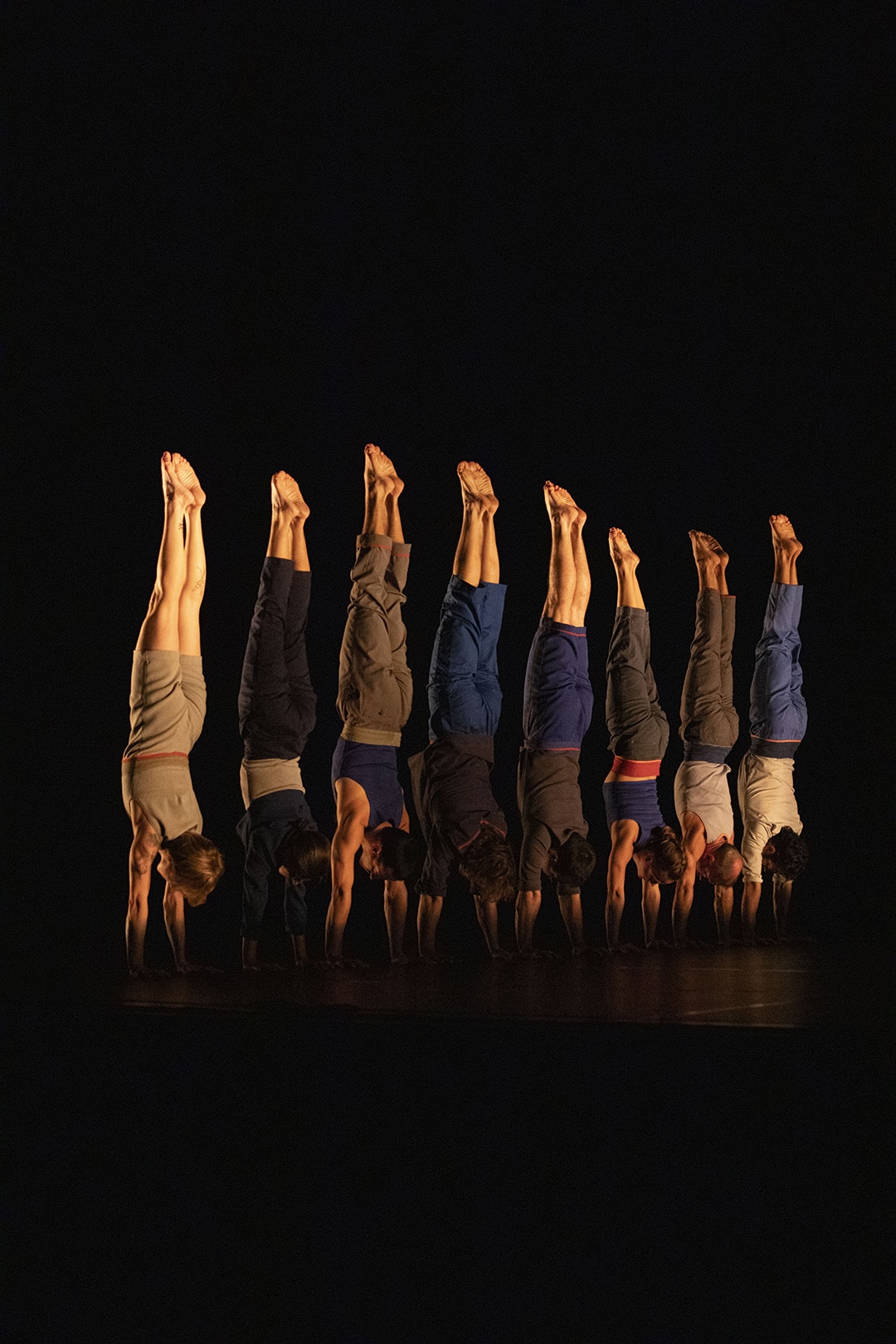 Saison culturelle Le Complexe de l’Autruche Collectif d’équilibristes