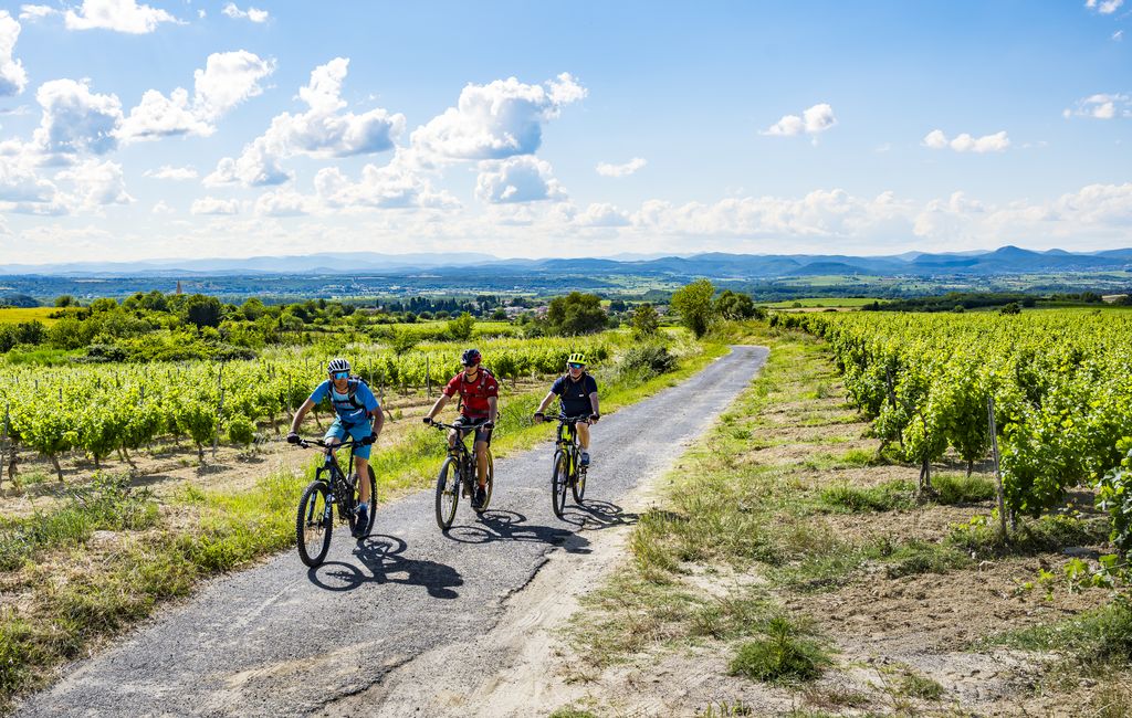 CIRCUIT VTT 7 LA BALADE DE JEANNOT ESPACE VTT/GRAVEL CAP D'AGDE MÉDITERRANÉE Nizas Occitanie