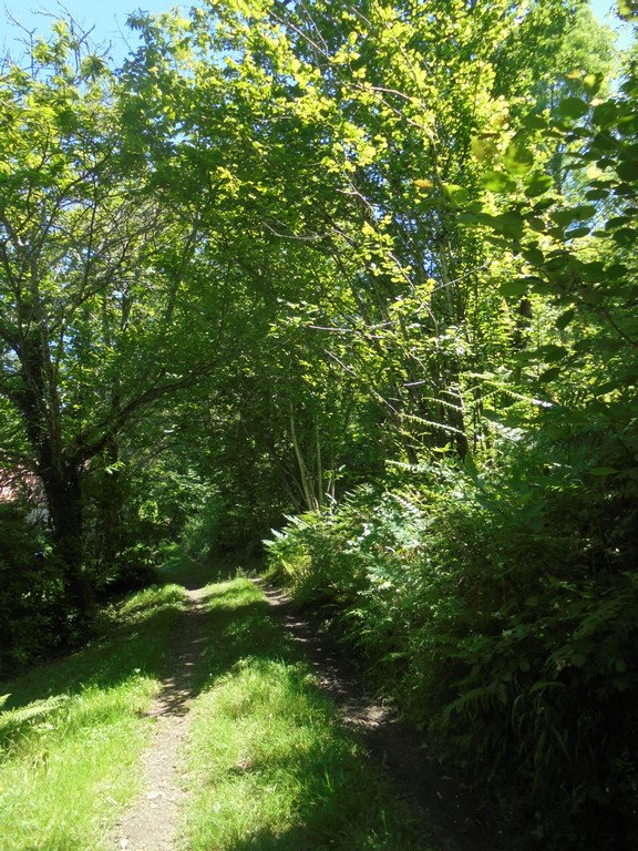 Grignols Sentier historique Grignols Nouvelle-Aquitaine Grignols Sentier historique Grignols Nouvelle-Aquitaine