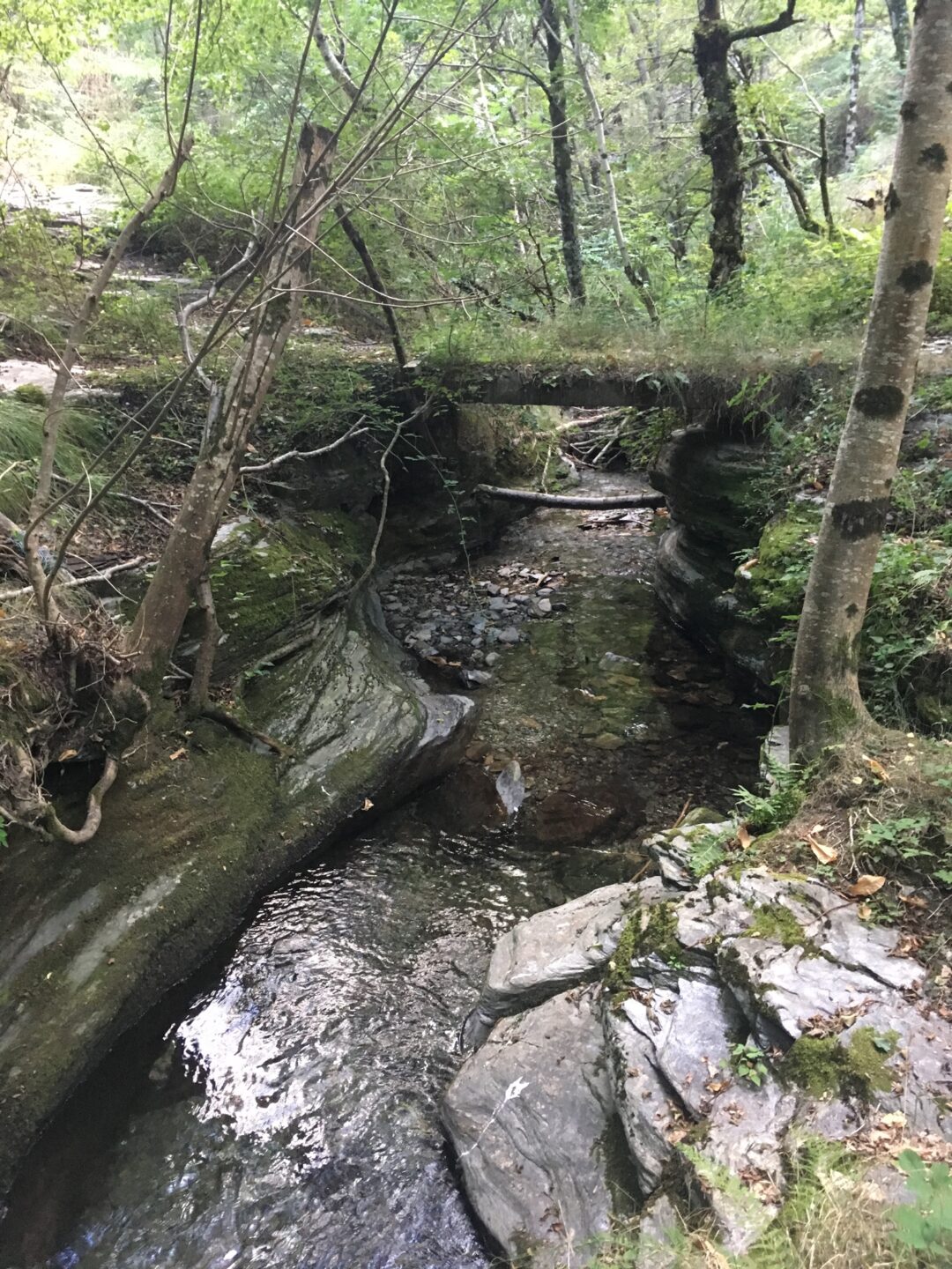 SENTIER DU MOULIN DE SALSON Ventalon en Cévennes Occitanie