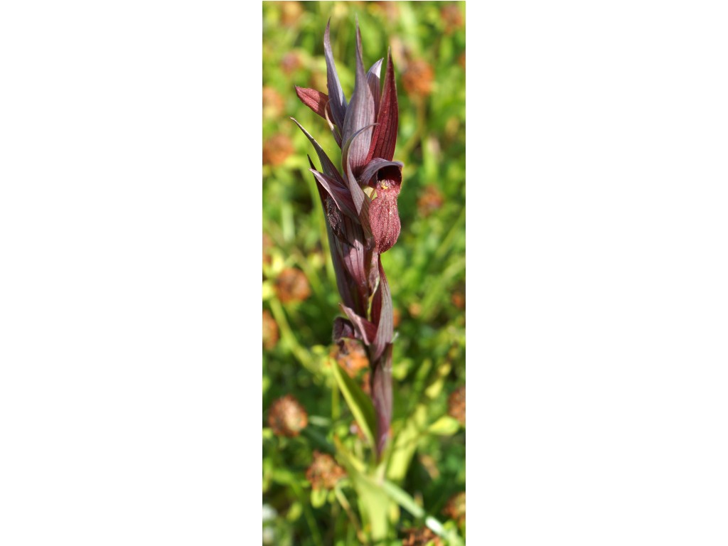 Rando vélo autour d'Eymet & Issigeac | Boucle n°8 Eymet Nouvelle-Aquitaine