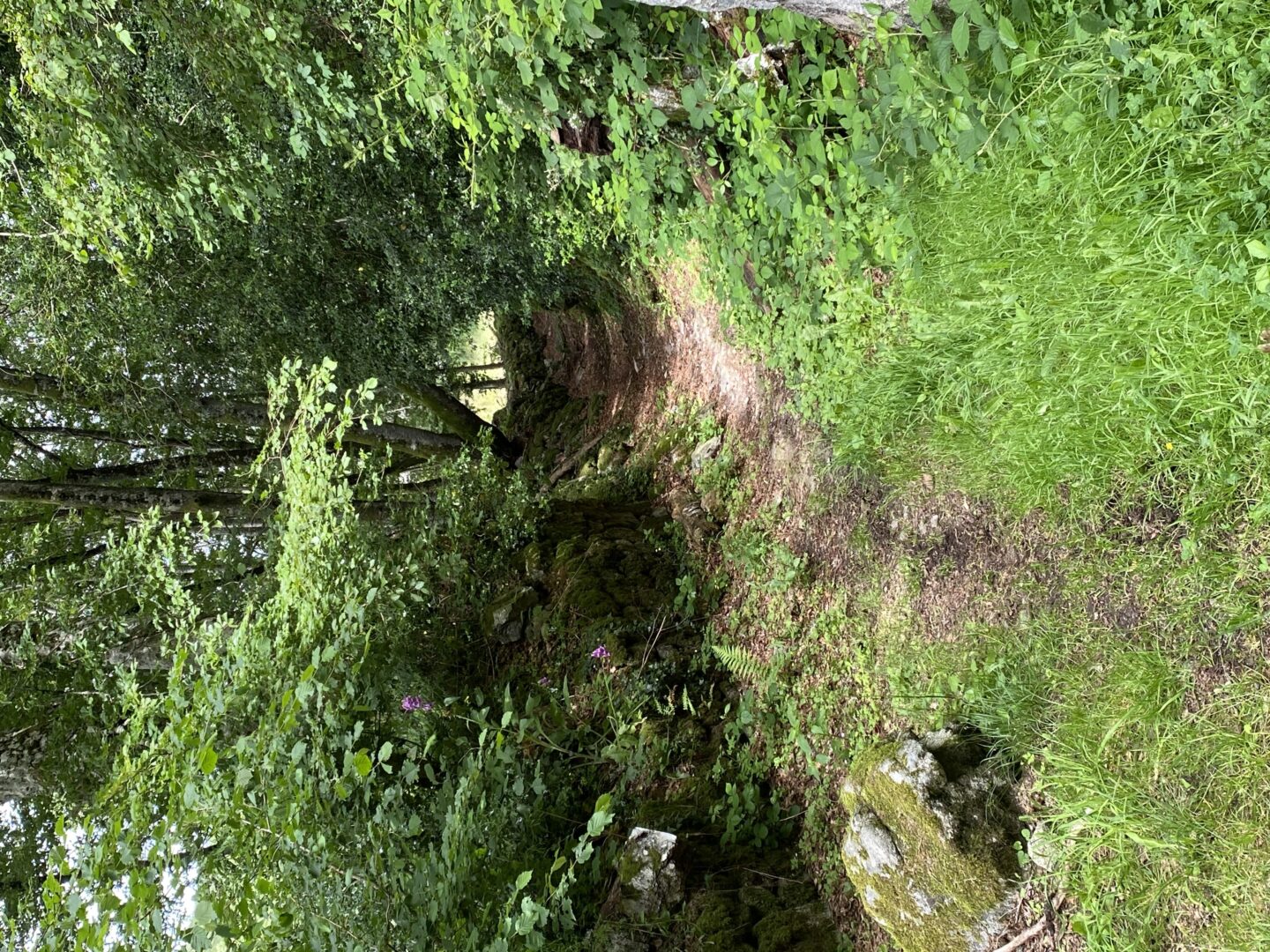 Circuit de Fifine la Fouine Sermur Nouvelle-Aquitaine