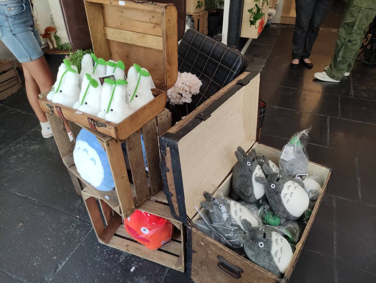 shikigami shop studio ghibli