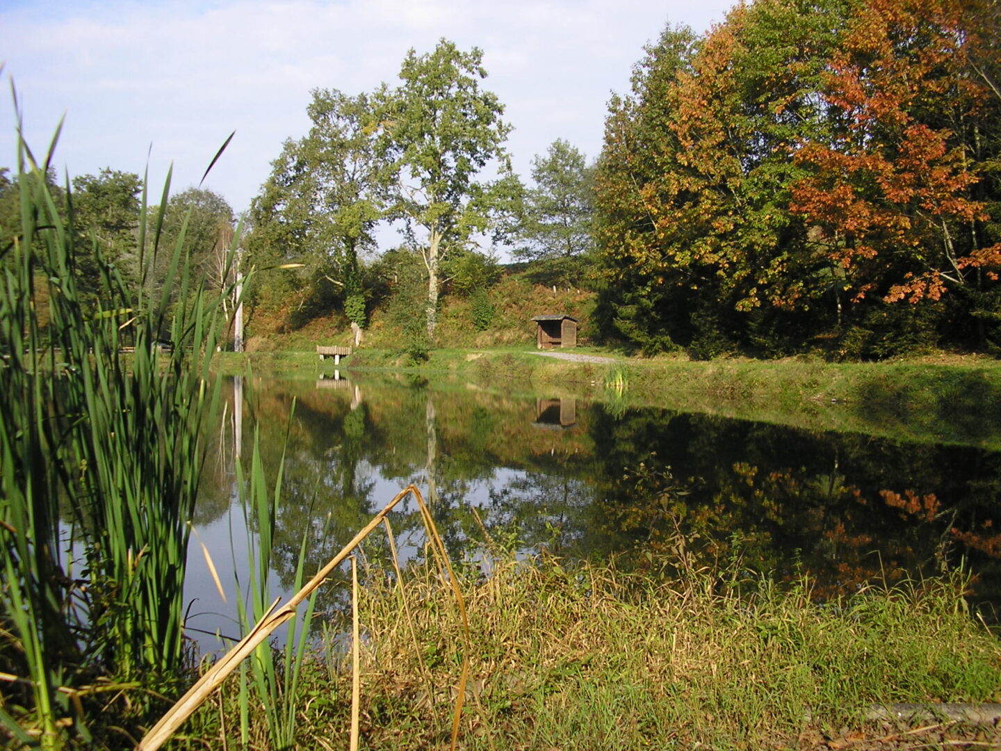 Balade à Roulettes n°10 le lac Ducrest à Arudy Pau Nouvelle-Aquitaine