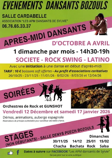 Soirées dansantes Orchestres de Rock et Gunshot