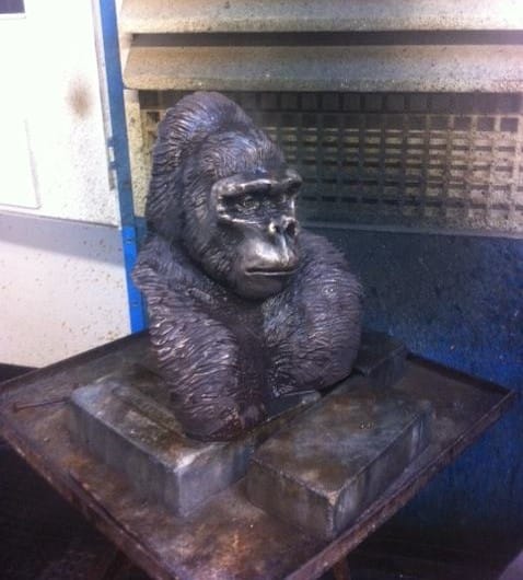 Sophie Bonnecaze-Laborde et Caroline Basuyau 