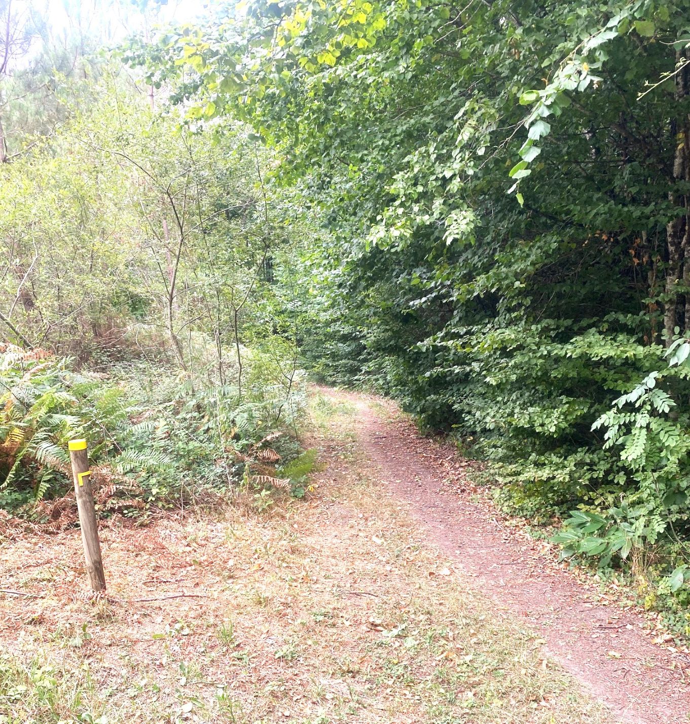 Boucle des Chateaux Sorges et Ligueux en Périgord Nouvelle-Aquitaine