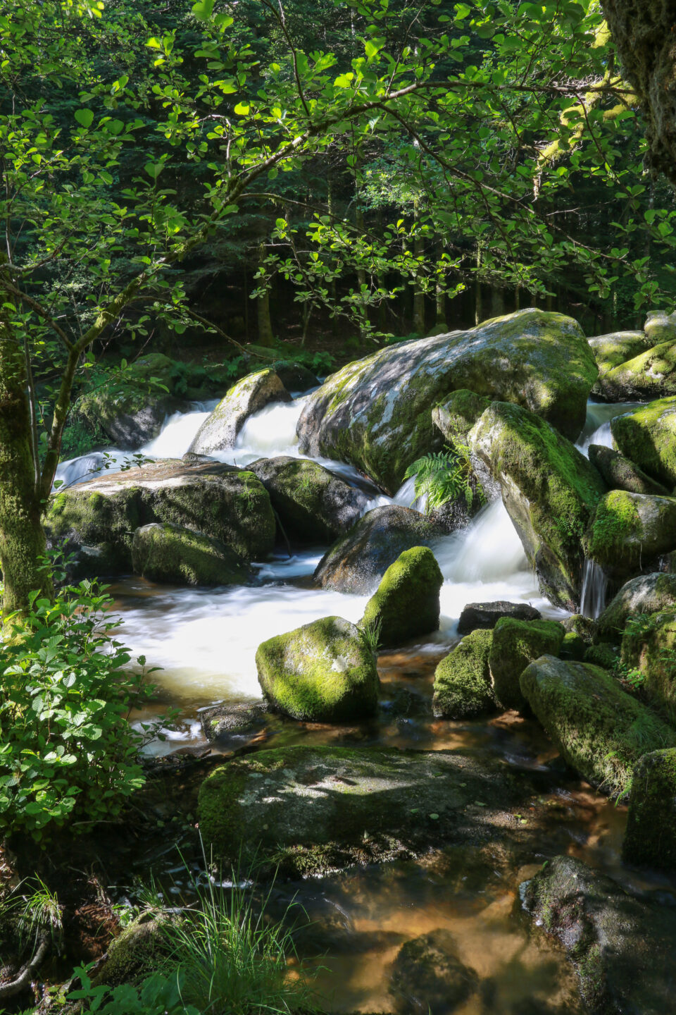 Cascades et moulins du Deiro Soudeilles Nouvelle-Aquitaine