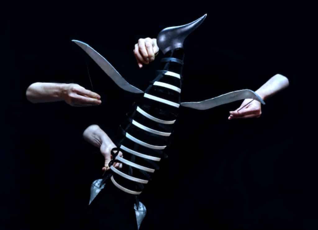 Spectacle jeune public à Figeac Le complexe du pingouin