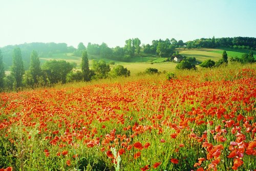 Boucle du Nicoulou Saint-Astier Nouvelle-Aquitaine