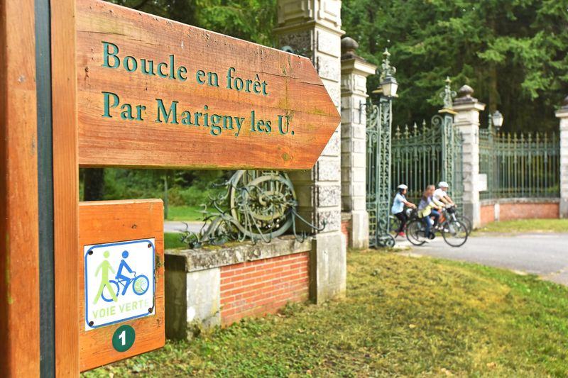 Boucle 01 En forêt d'Orléans Saint-Jean-de-Braye Centre-Val de Loire