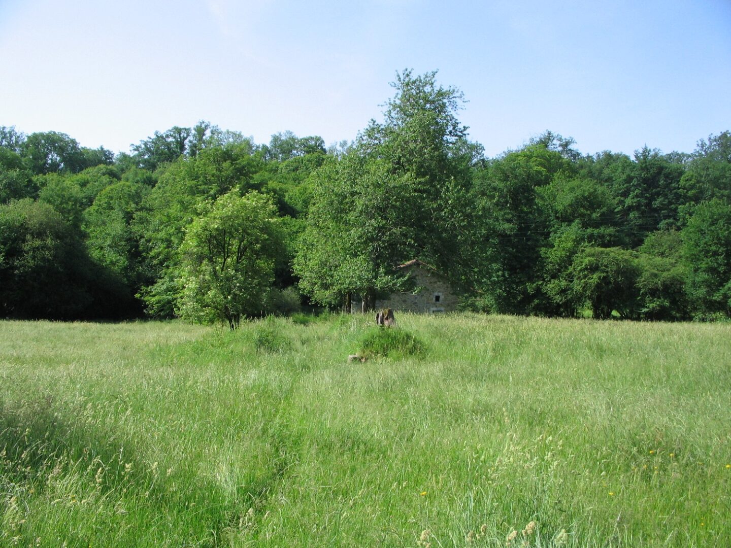 Boucle de l'Abbaye sentier historique Saint-Martin-de-Fressengeas Nouvelle-Aquitaine