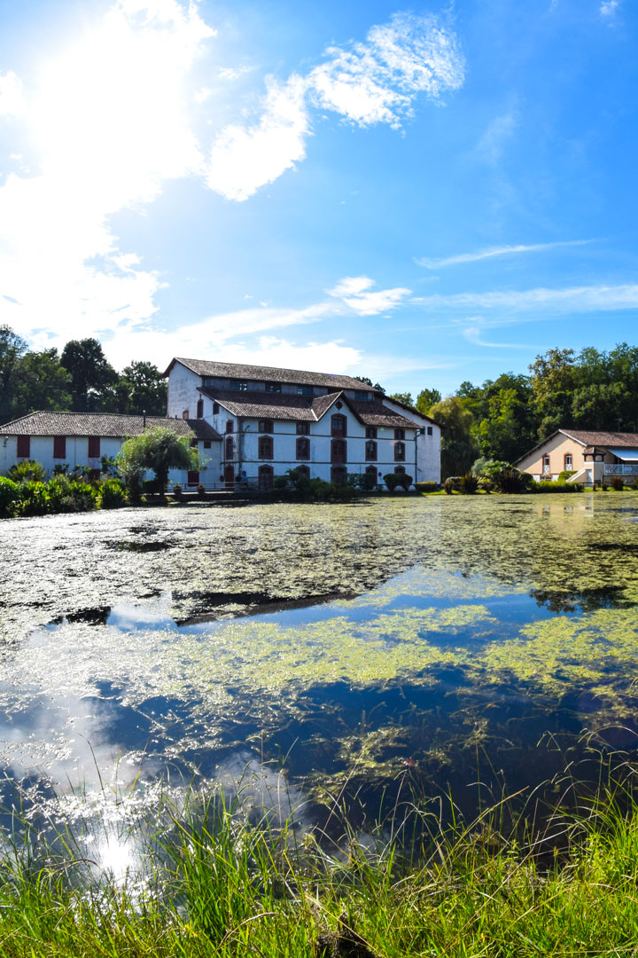 Sur les traces des forges Saint-Paul-lès-Dax Nouvelle-Aquitaine