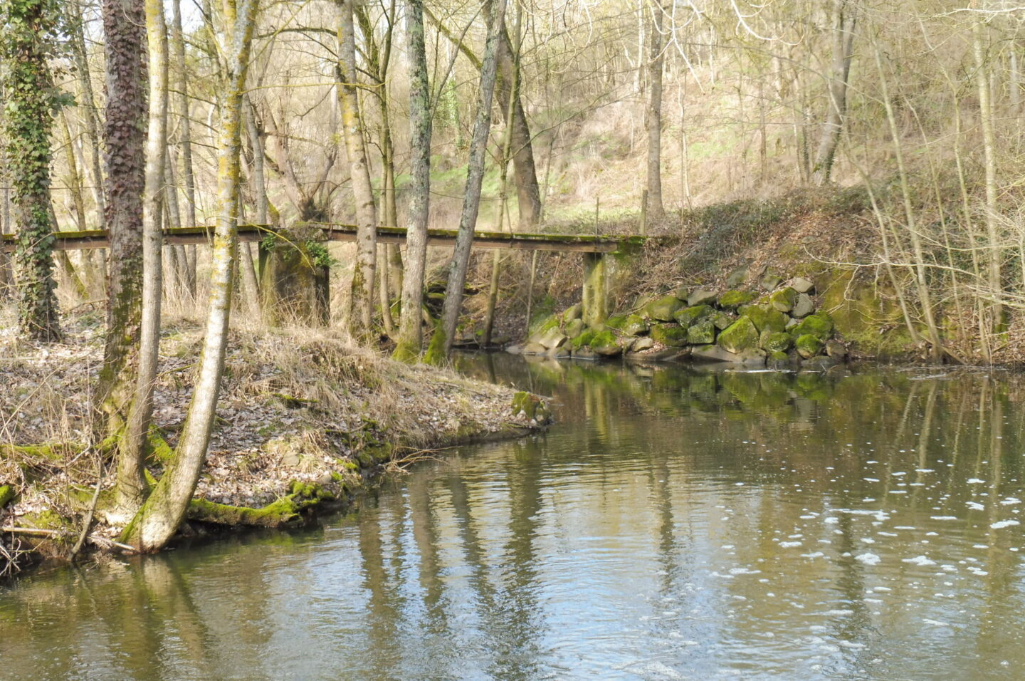 Adoptez votre patrimoine "Saint-Varentais patrimoine industriel" Saint-Varent Nouvelle-Aquitaine
