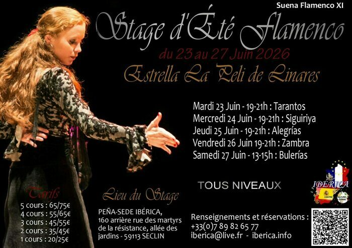 Stage flamenco Ibérica Seclin Lille - El verano suena flamenco XIème édition Ibérica Centre de Culture