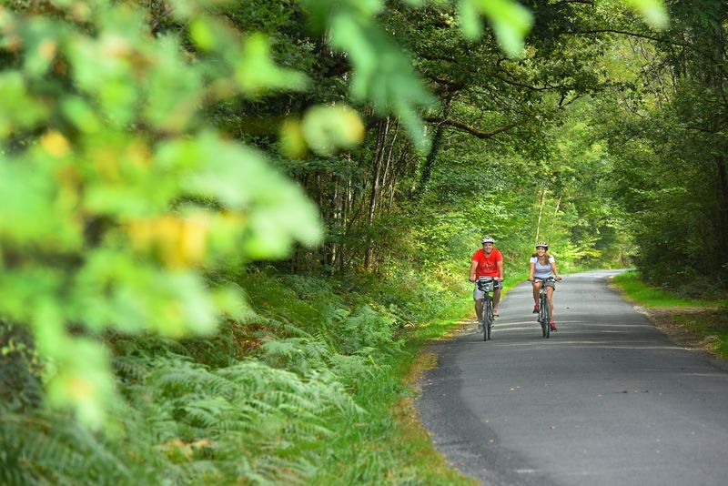 Boucle 08 Aux portes de la plus grande forêt domaniale de France Fay-aux-Loges Centre-Val de Loire