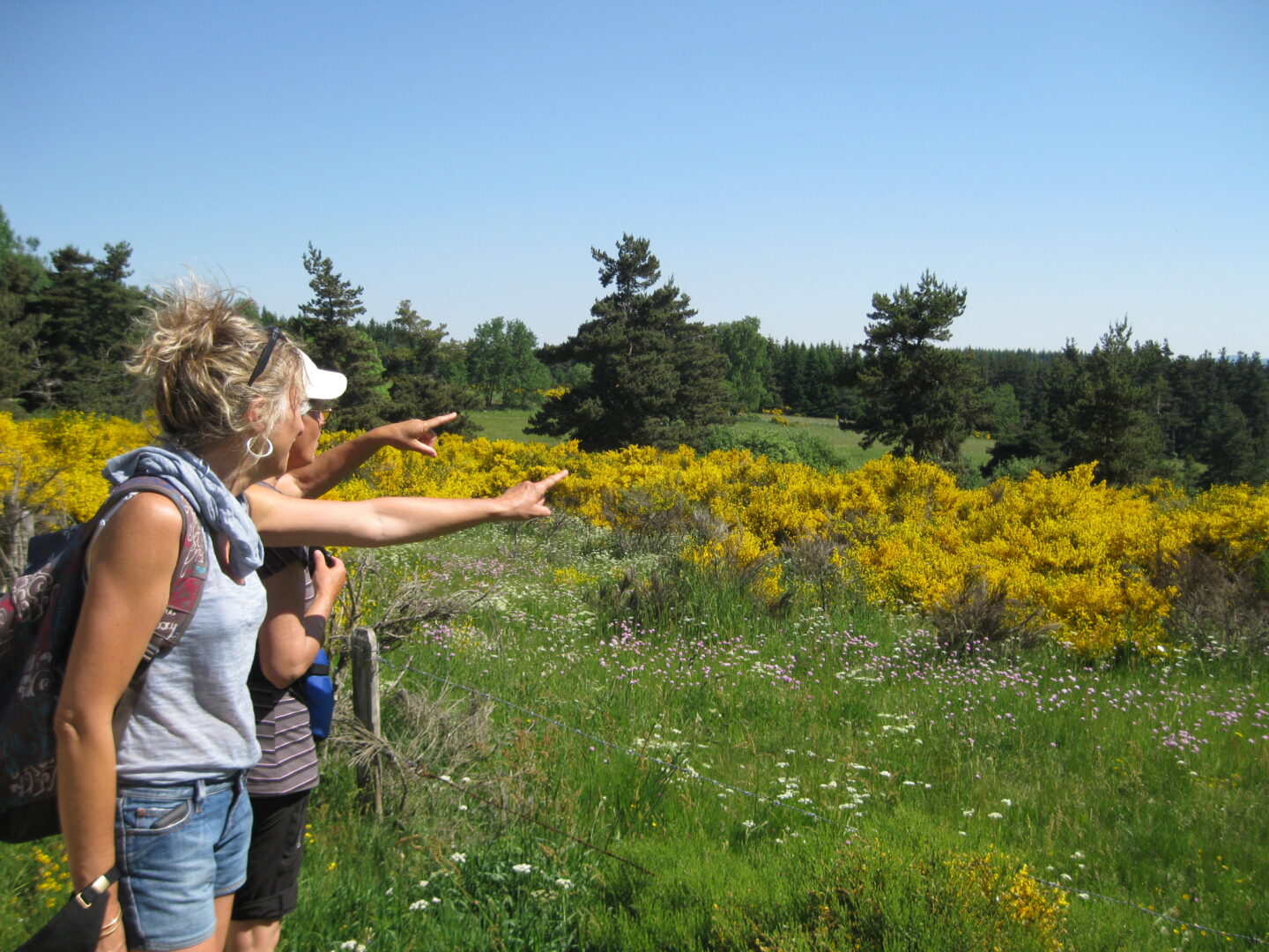 Le Puech Meyro Saint-Paul-le-Froid Occitanie