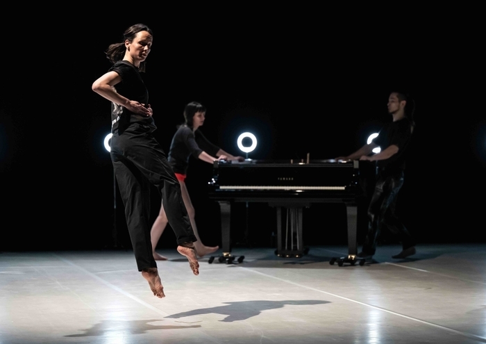 Lignes# - Cats&Snails / Clémentine Vanlerberghe & Jérémy Ternoy Théâtre Monsigny Boulogne-sur-Mer