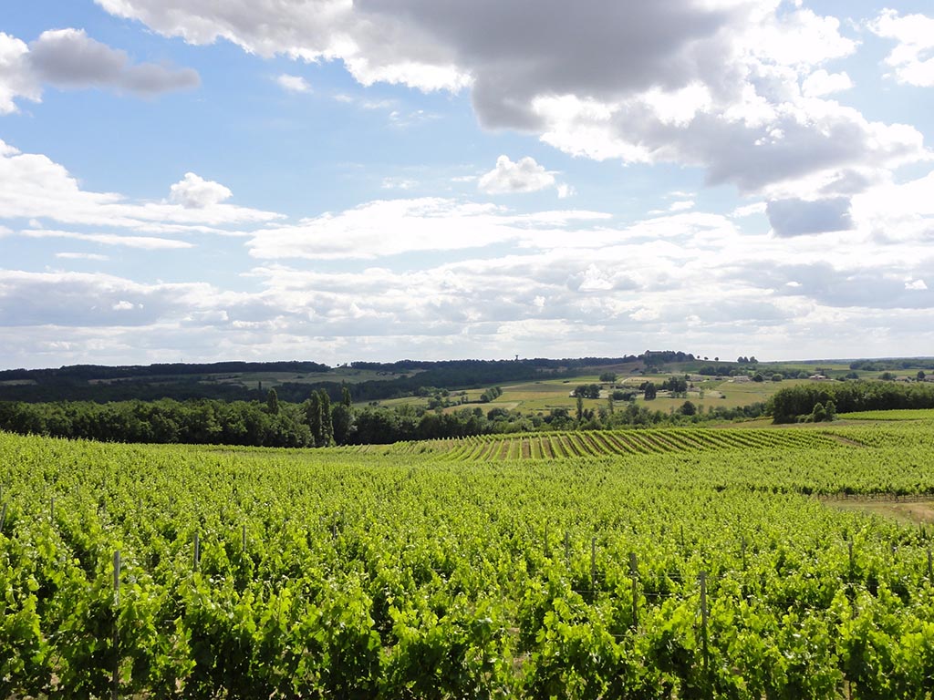 Boucle de Thénac Thénac Nouvelle-Aquitaine Boucle de Thénac Thénac Nouvelle-Aquitaine