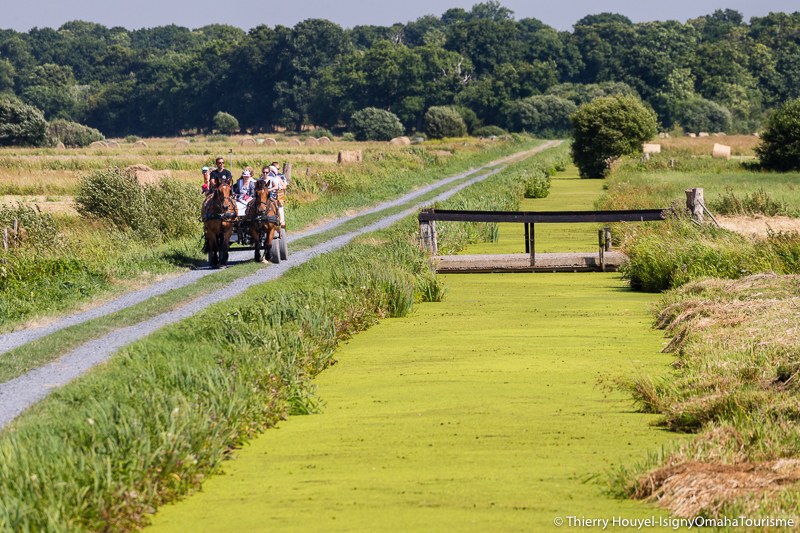 Les Marais de l’Aure Isigny-sur-Mer Normandie Les Marais de l'Aure Isigny-sur-Mer Normandie