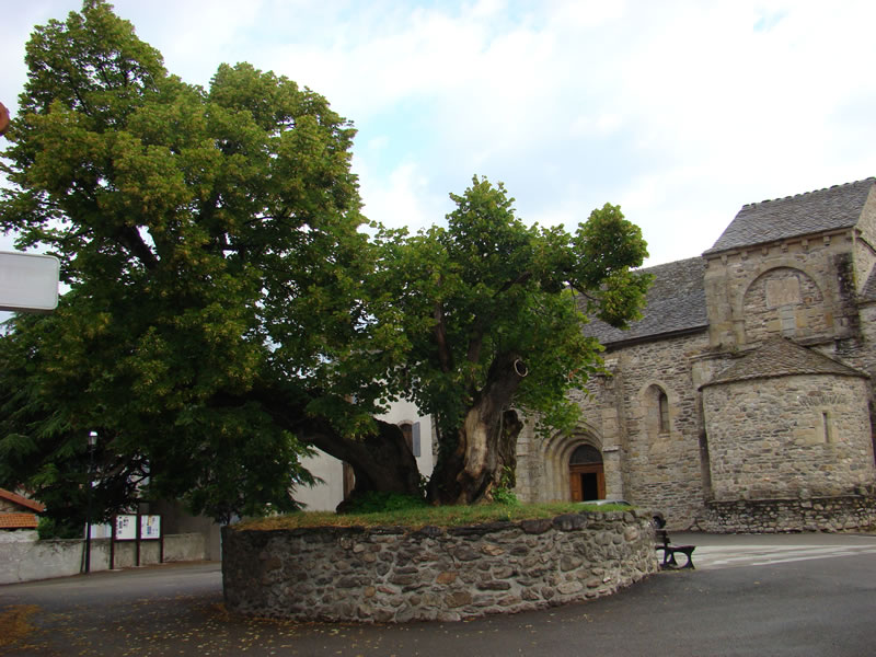 La Goulette Prévenchères Occitanie