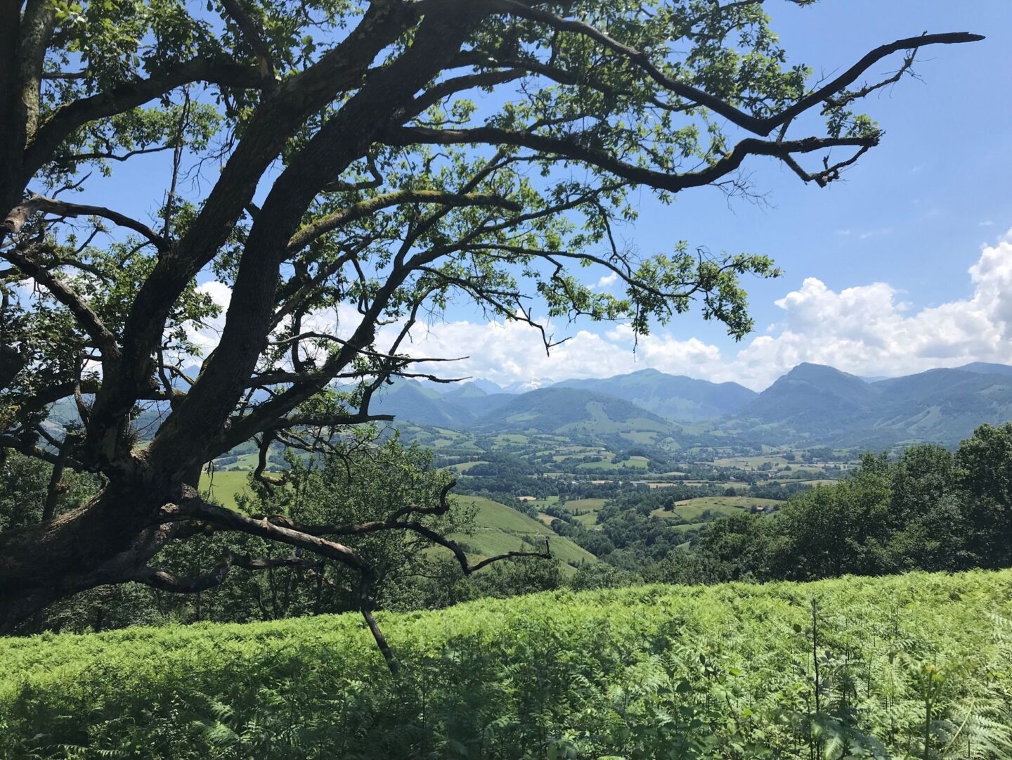 VTT N°3 Tour de Lanne-en-Barétous Lanne-en-Barétous Nouvelle-Aquitaine VTT N°3 Tour de Lanne-en-Barétous Lanne-en-Barétous Nouvelle-Aquitaine