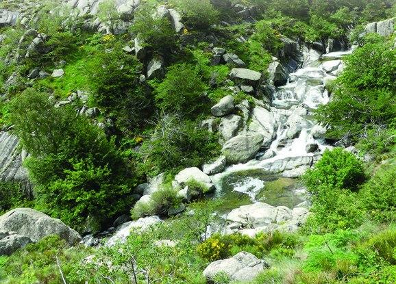SENTIER DES TOURRIÈRES Vialas Occitanie