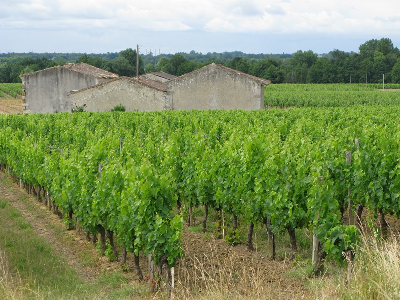 Boucle des Trias Saint-Girons-d'Aiguevives Nouvelle-Aquitaine