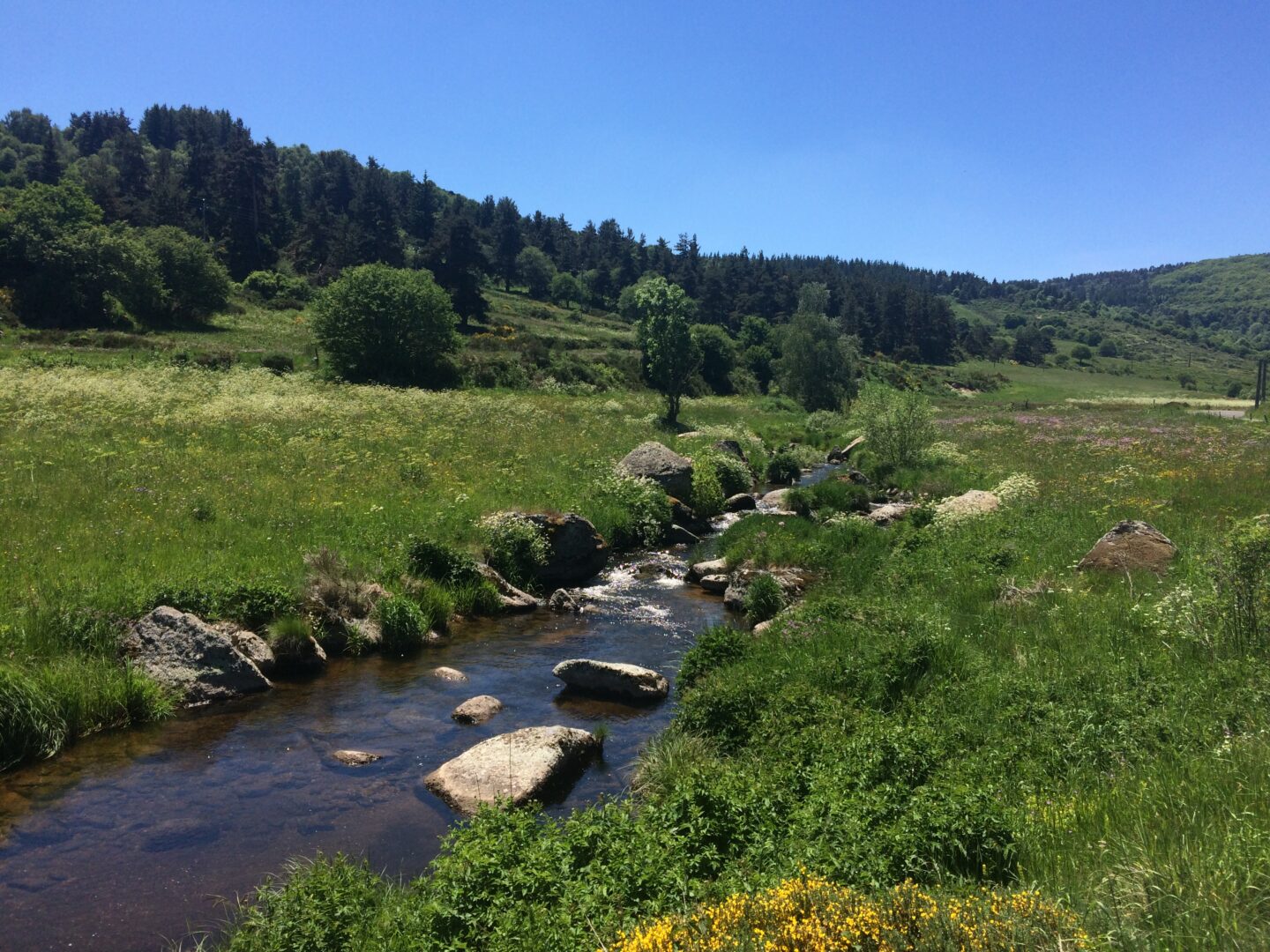 UN MORCEAU DE TRUYERE Saint-Chély-d’Apcher Occitanie UN MORCEAU DE TRUYERE Saint-Chély-d'Apcher Occitanie