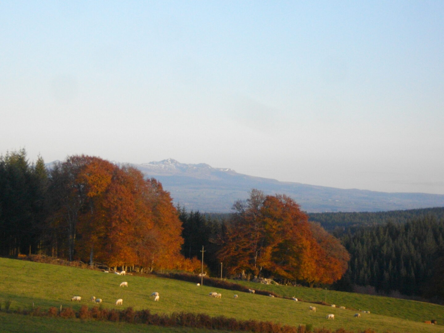 Circuit des deux sommets (variante intermédiaire 5 km) Saint-Oradoux-de-Chirouze Nouvelle-Aquitaine