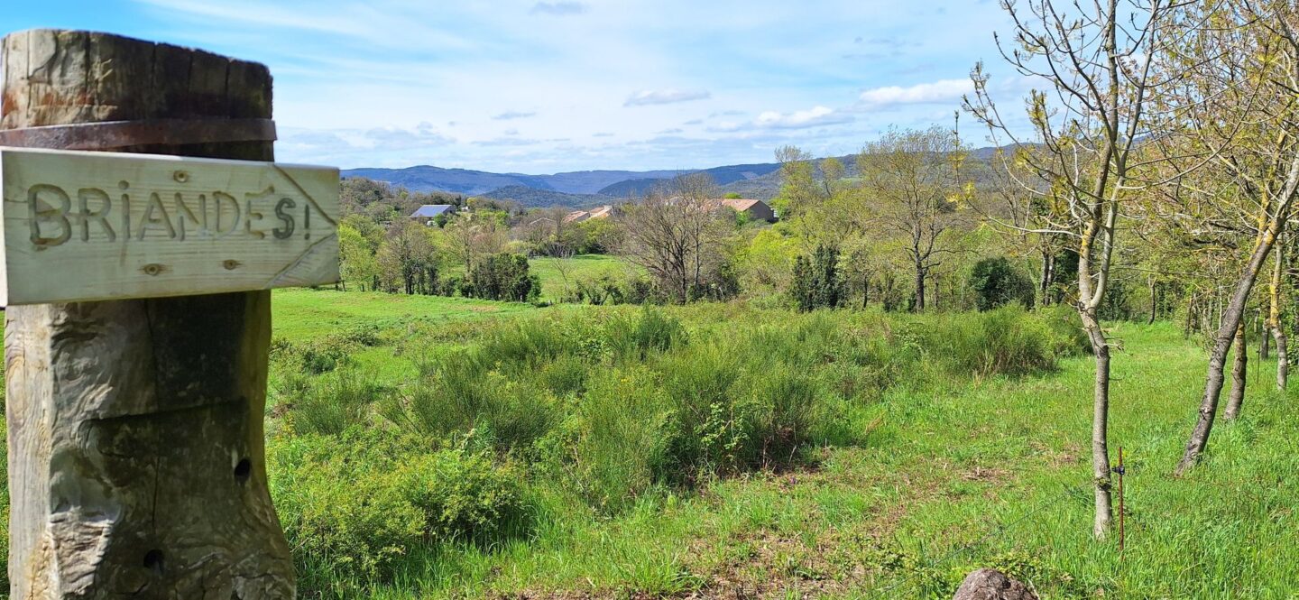 RANDONNEE DE LAVAL DE NIZE Lunas Occitanie