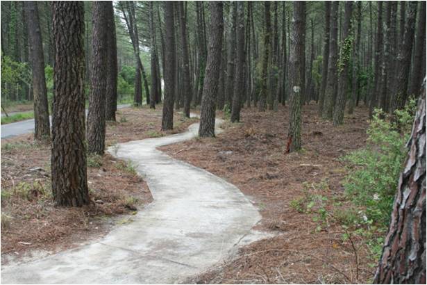 Piste Cyclable de La Lette Blanche Vielle-Saint-Girons Nouvelle-Aquitaine