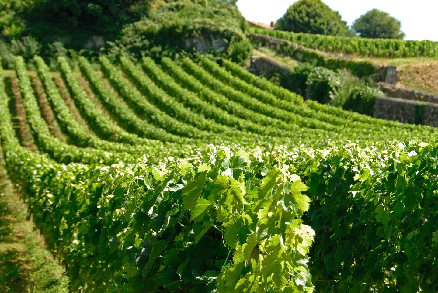 Boucle pédestre Autour de Parsac Montagne Nouvelle-Aquitaine