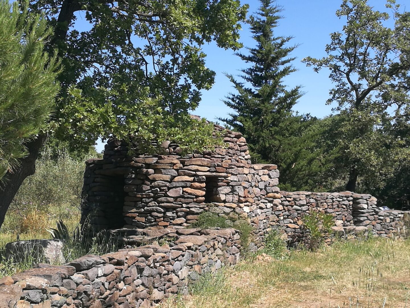 CIRCUIT VTT 9 LE PAYS DE CAUX ESPACE VTT/GRAVEL CAP D'AGDE MÉDITERRANÉE Nizas Occitanie